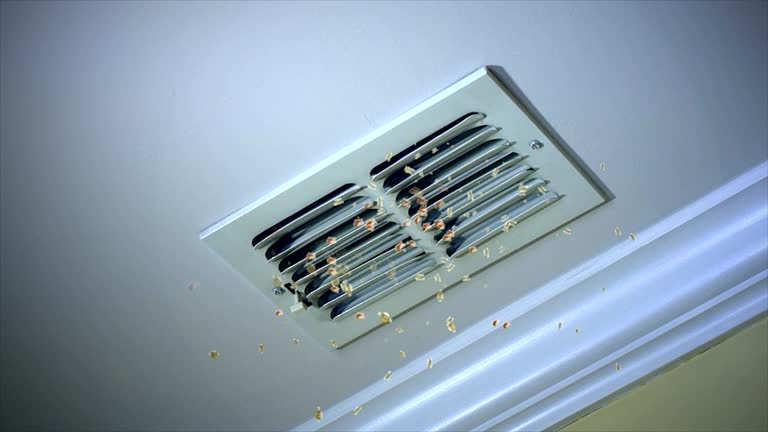 Best HVAC Duct Inspection Services  in Mastic, NY